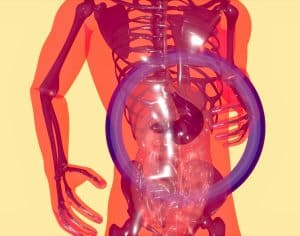intestino